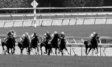 競馬情報詐欺